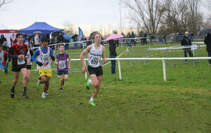 1/4 de finales du championnat de France de cross-country